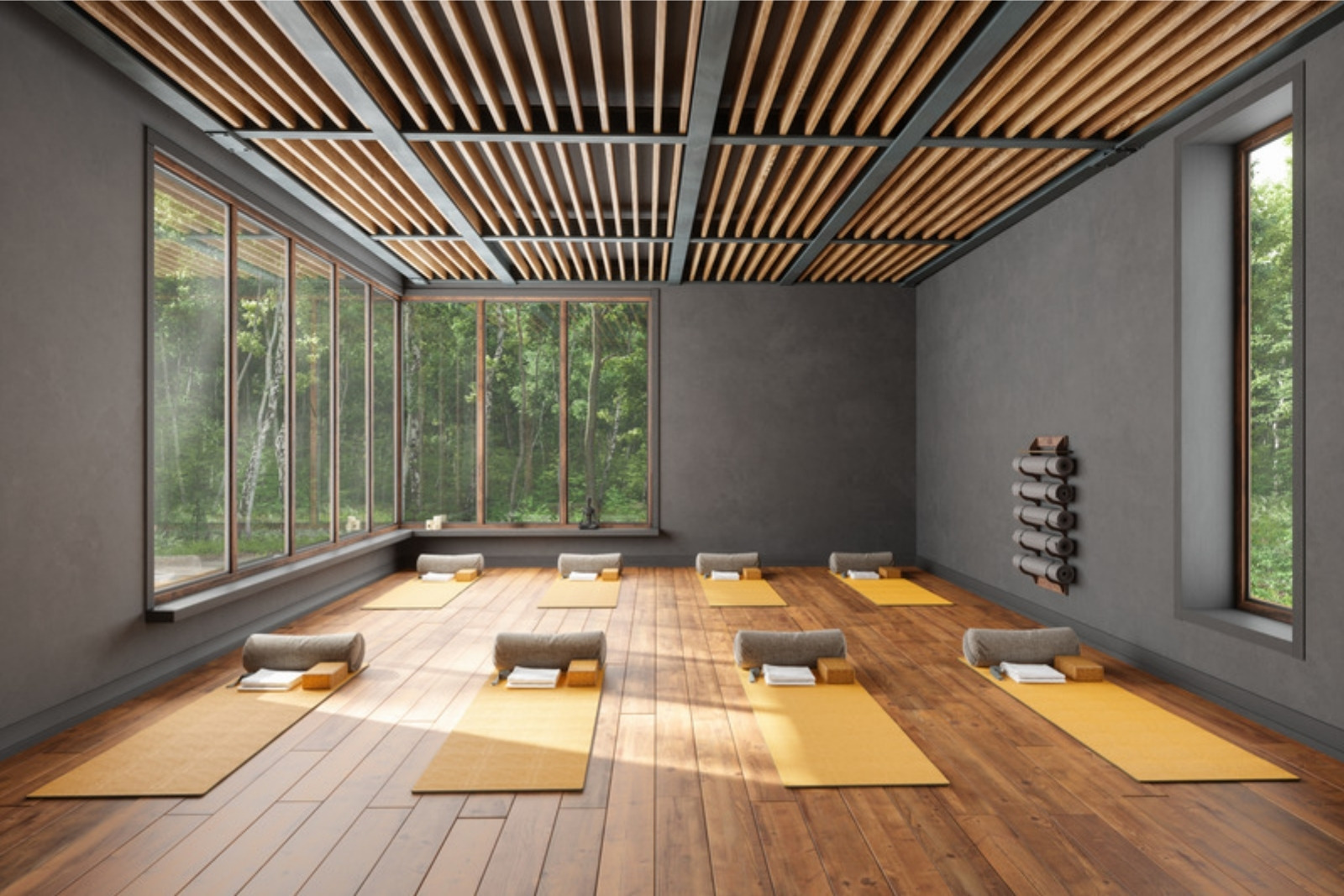 Estudio de yoga vacío con esterillas y luz natural entre árboles